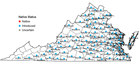 Locations ofArabidopsis thaliana (Linnaeus) Heynhold in Virginia