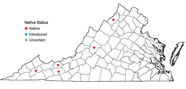 Locations ofArabis adpressipilis (M. Hopkins) Al-Shehbaz in Virginia