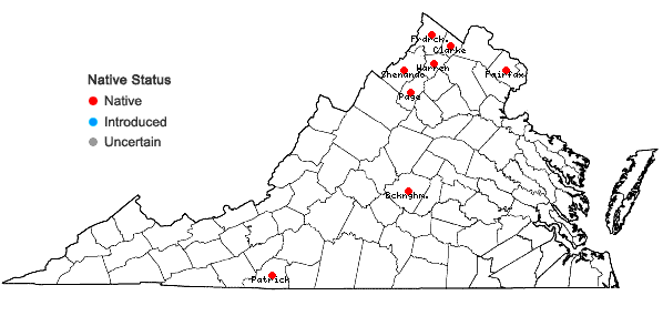 Locations ofArabis patens Sullivant in Virginia