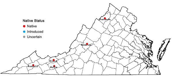 Locations ofArabis pycnocarpa M. Hopkins var. adpressipilis M. Hopkins in Virginia