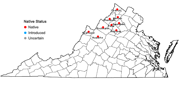 Locations ofAralia hispida Vent. in Virginia