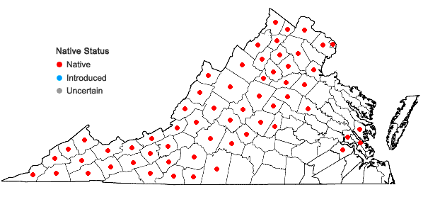 Locations ofAralia racemosa L. in Virginia