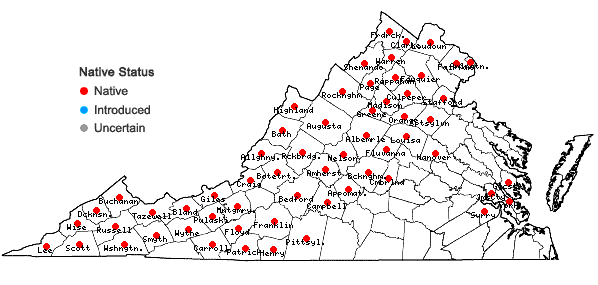 Locations ofAralia racemosa L. in Virginia