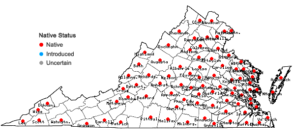 Locations ofAralia spinosa L. in Virginia