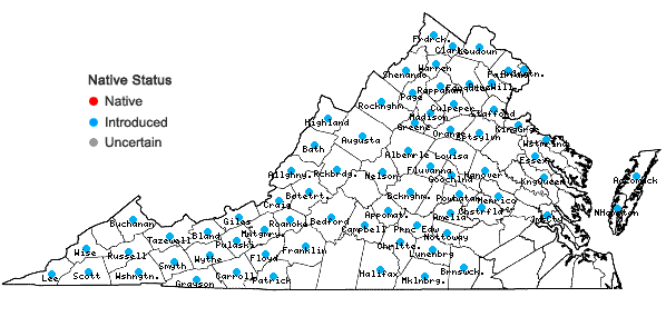 Locations ofArctium minus Bernh. in Virginia