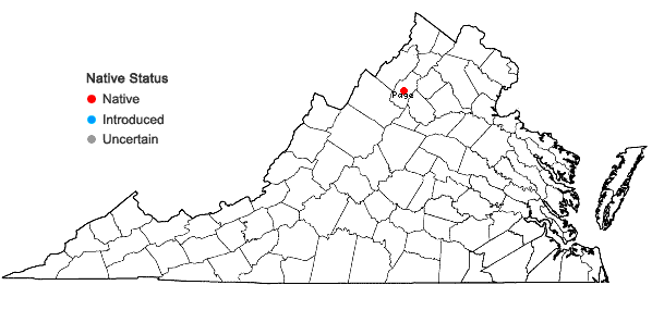 Locations ofArctostaphylos uva-ursi (L.) Spreng. in Virginia