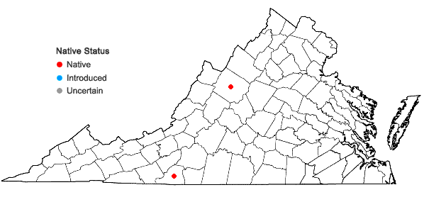 Locations ofArethusa bulbosa L. in Virginia