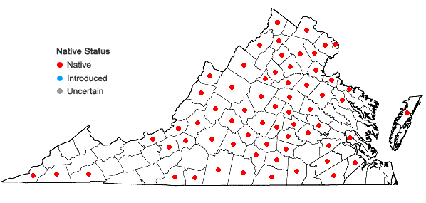 Locations ofArisaema dracontium (L.) Schott in Virginia