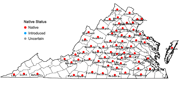 Locations ofArisaema dracontium (L.) Schott in Virginia