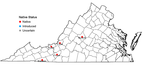 Locations ofArisaema triphyllum (L.) Schott ssp. stewardsonii (Britt.) Huttleston in Virginia