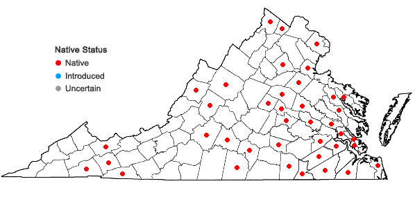 Locations ofArisaema triphyllum (L.) Schott ssp. pusillum (Peck) Huttleston in Virginia