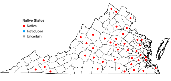 Locations ofArisaema triphyllum (L.) Schott ssp. pusillum (Peck) Huttleston in Virginia