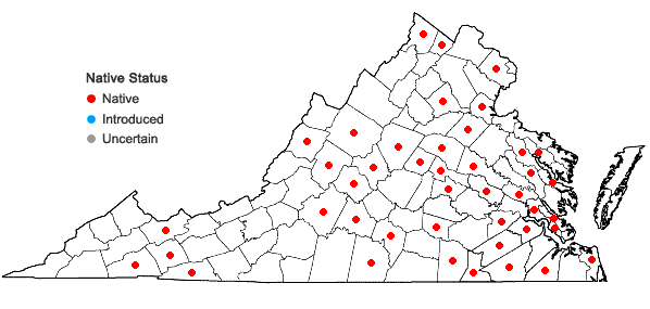 Locations ofArisaema triphyllum (L.) Schott ssp. pusillum (Peck) Huttleston in Virginia