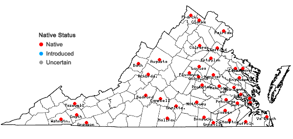 Locations ofArisaema triphyllum (L.) Schott ssp. pusillum (Peck) Huttleston in Virginia