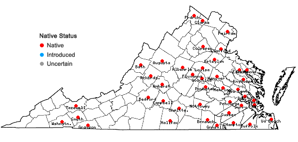 Locations ofArisaema triphyllum (L.) Schott ssp. pusillum (Peck) Huttleston in Virginia