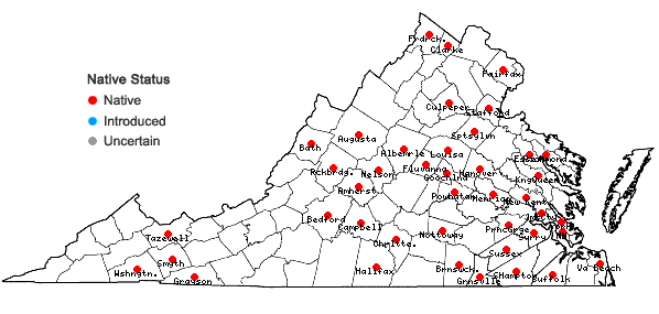 Locations ofArisaema triphyllum (L.) Schott ssp. pusillum (Peck) Huttleston in Virginia