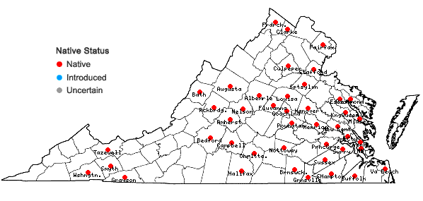 Locations ofArisaema triphyllum (L.) Schott ssp. pusillum (Peck) Huttleston in Virginia