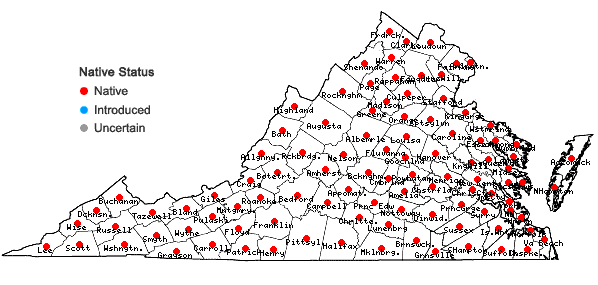 Locations ofArisaema triphyllum (L.) Schott ssp. triphyllum in Virginia