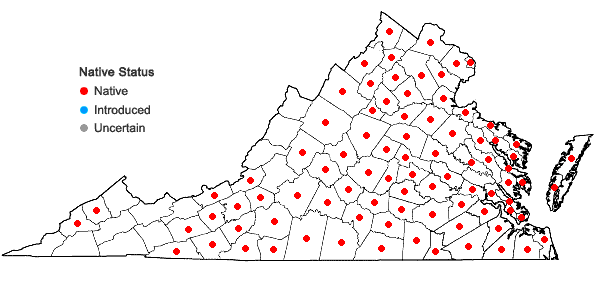 Locations ofAristida dichotoma Michx. var. dichotoma in Virginia