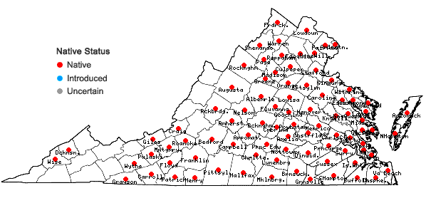 Locations ofAristida dichotoma Michx. var. dichotoma in Virginia