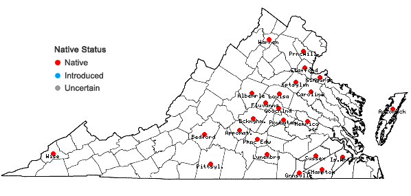 Locations ofAristida dichotoma Michx. var. curtissii Gray in Virginia