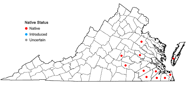 Locations ofAristida lanosa Muhl. ex Ell. in Virginia