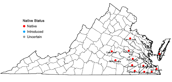 Locations ofAristida lanosa Muhl. ex Ell. in Virginia