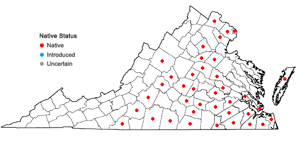 Locations ofAristida longespica Poir. in Virginia