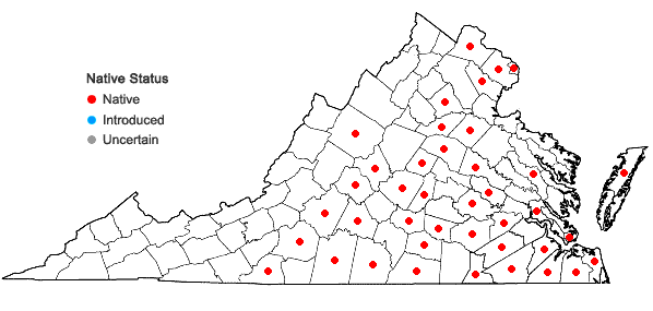 Locations ofAristida longespica Poir. in Virginia