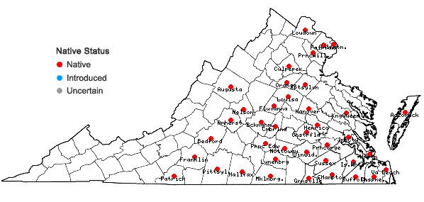 Locations ofAristida longespica Poir. in Virginia