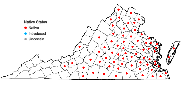 Locations ofAristida oligantha Michx. in Virginia