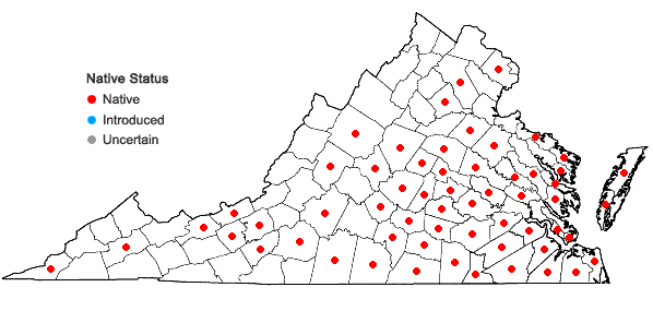 Locations ofAristida purpurascens Poir. in Virginia