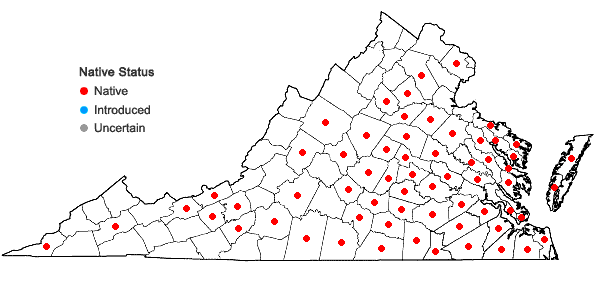 Locations ofAristida purpurascens Poir. in Virginia
