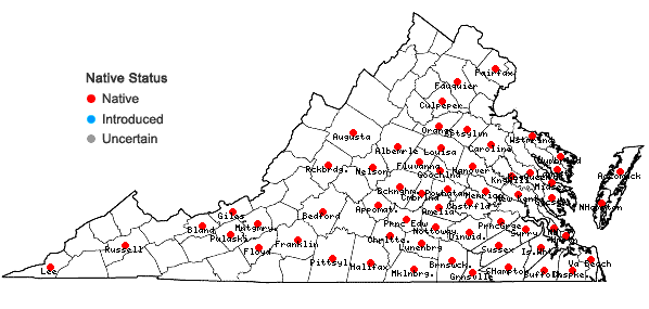 Locations ofAristida purpurascens Poir. in Virginia