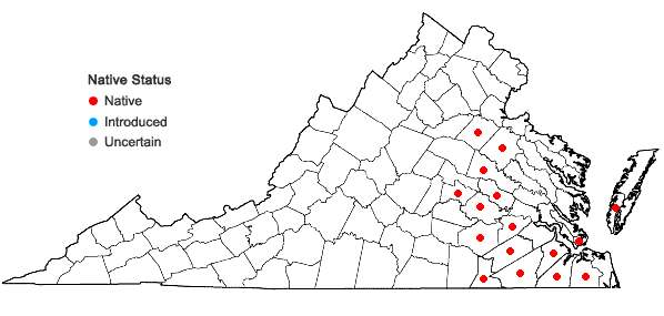 Locations ofAristida virgata Trin. in Virginia