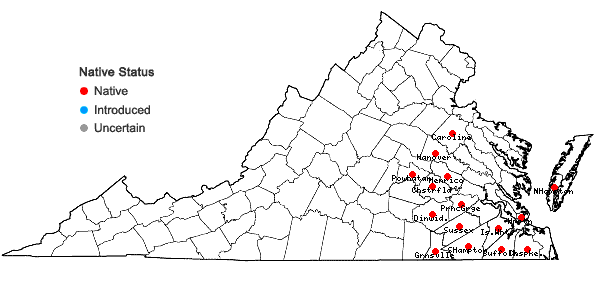 Locations ofAristida virgata Trin. in Virginia