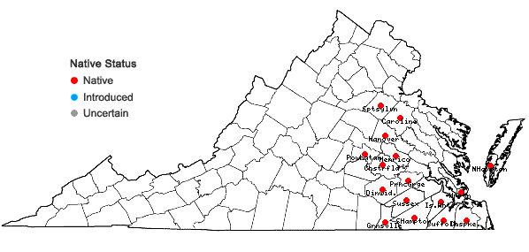 Locations ofAristida virgata Trin. in Virginia