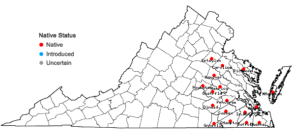 Locations ofAristida virgata Trin. in Virginia