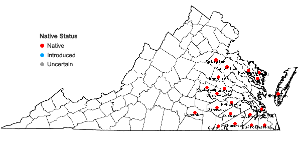 Locations ofAristida virgata Trin. in Virginia
