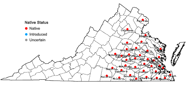 Locations ofArnica acaulis (Walt.) B.S.P. in Virginia
