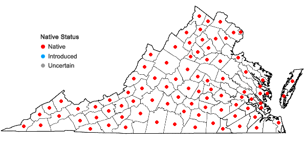 Locations ofArnoglossum atriplicifolium (L.) H.E. Robins. in Virginia