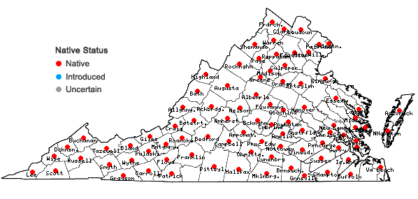 Locations ofArnoglossum atriplicifolium (L.) H.E. Robins. in Virginia