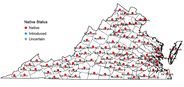 Locations ofArnoglossum atriplicifolium (L.) H.E. Robins. in Virginia