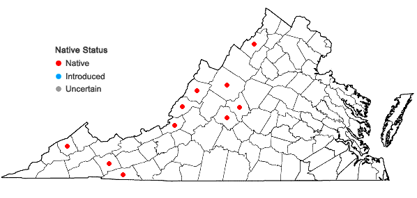 Locations ofArnoglossum reniforme (Hooker) H. Robinson in Virginia