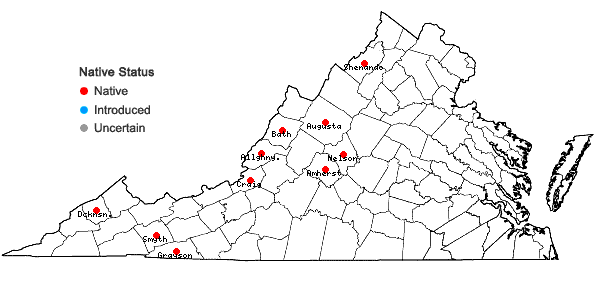 Locations ofArnoglossum reniforme (Hooker) H. Robinson in Virginia