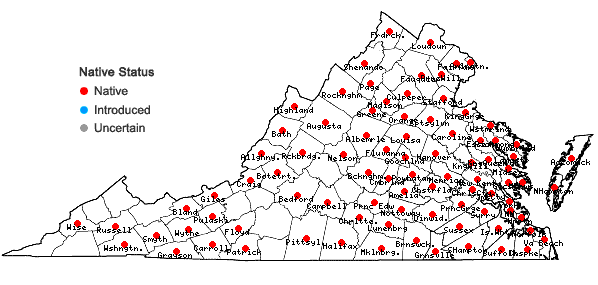 Locations ofAronia arbutifolia (L.) Pers. in Virginia