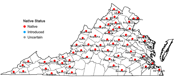 Locations ofAronia melanocarpa (Michx.) Elliott in Virginia