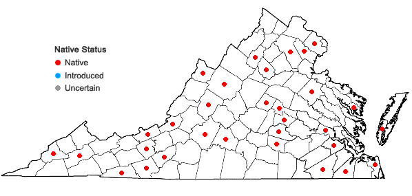 Locations ofAronia prunifolia (Marsh.) Rehder in Virginia