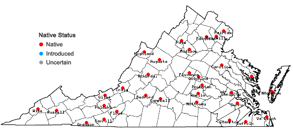 Locations ofAronia prunifolia (Marsh.) Rehder in Virginia