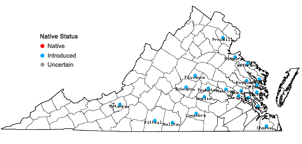 Locations ofArrhenatherum elatius (L.) J. & K. Presl var. bulbosum (Willd.) Spenner in Virginia